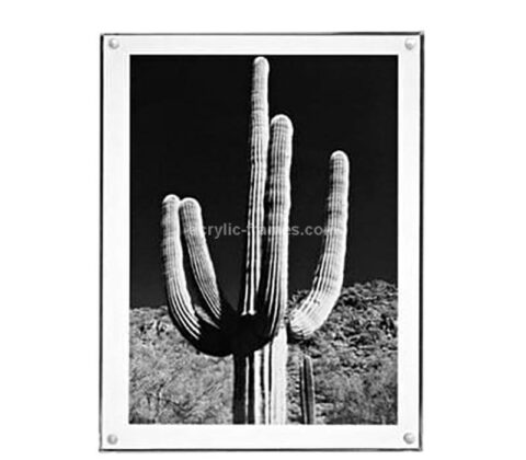 Wholesale custom acrylic wall frameless picture frames