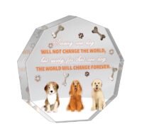 Custom acrylic enneagon block gifts