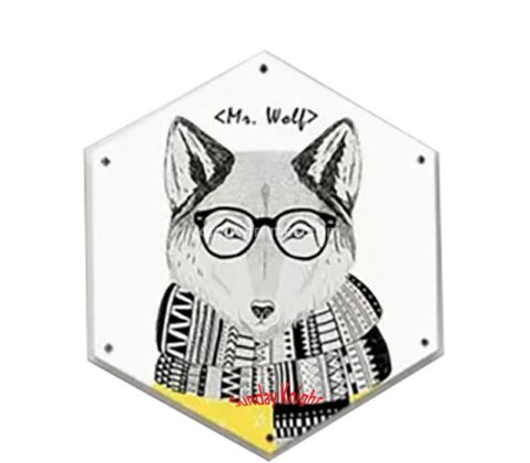 Custom acrylic wall hexagon decorative picture frame