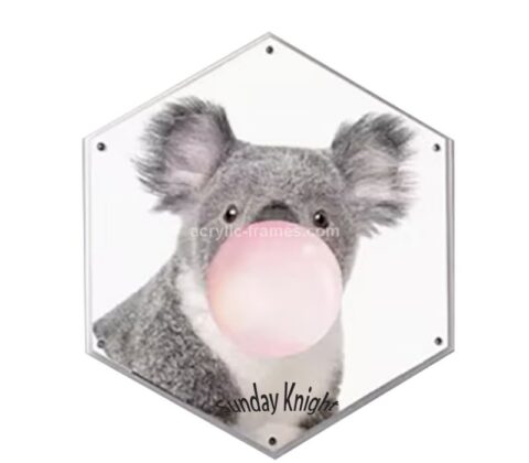 Custom acrylic wall hexagon picture frame