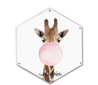 Custom acrylic wall hexagon frameless picture frame