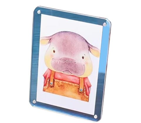 Custom acrylic photo picture frame with support