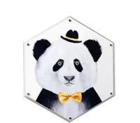 Custom acrylic wall mount hexagon picture frame AFL-164 Custom acrylic wall mount hexagon picture frame