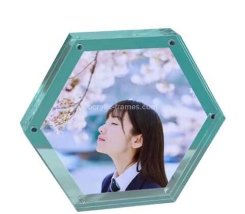 Custom acrylic hexagon double sided photo frame