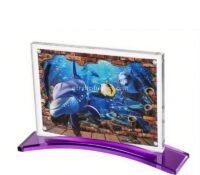 Custom acrylic decorative photo frame