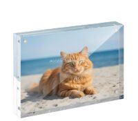 Custom acrylic magnetic decor picture block